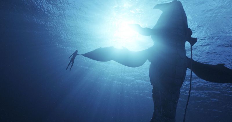 Pathé-spot voor Avatar dompelt bioscoopbezoeker onder water