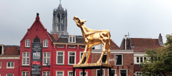 Nominaties Gouden Kalveren 2017 bekend