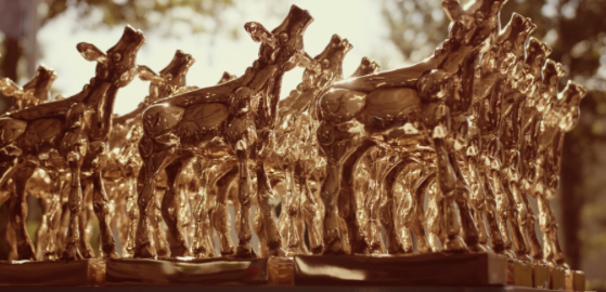 Nominaties Gouden Kalveren bekendgemaakt