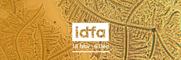 IDFA 2020: balanceren tussen fysieke en online-bioscoop