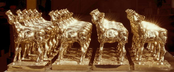Longlists Gouden Kalveren 2019 bekend