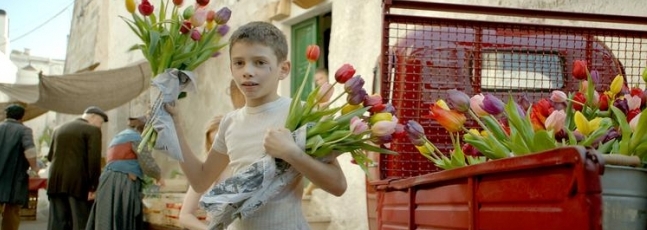 Tulipani wint publieksprijs in Tallinn