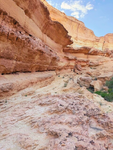 Canyon Bouhlel foto Jeroen Huijsdens v2