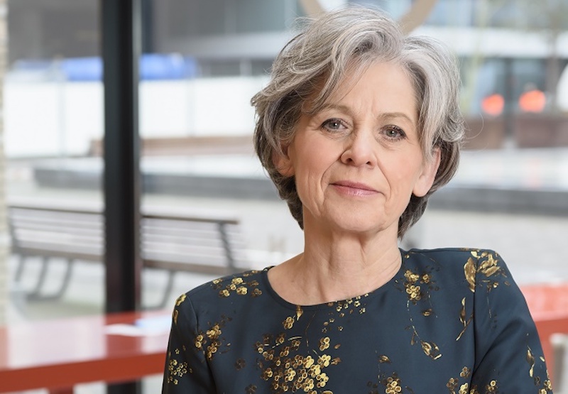 Cultuur kan maatschappelijke tegenstellingen overbruggen, aldus Kristel Baele