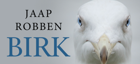 Roman Birk van Jaap Robben wordt verfilmd