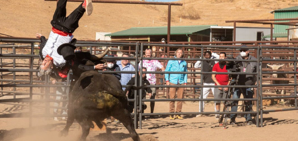 Jackass Forever verslaat Moonfall aan US boxoffice