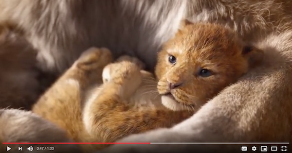 Stichting Filmonderzoek werkt mee aan Europees onderzoek naar trailers