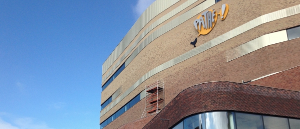 Pathé verwijdert posters verongelukt model (update)